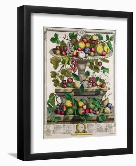 June-Pieter Casteels-Framed Premium Giclee Print