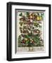 June-Pieter Casteels-Framed Premium Giclee Print