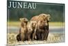 Juneau, Alaska - Grizzly Bear and Cubs-Lantern Press-Mounted Premium Giclee Print