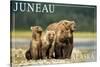 Juneau, Alaska - Grizzly Bear and Cubs-Lantern Press-Stretched Canvas