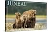 Juneau, Alaska - Grizzly Bear and Cubs-Lantern Press-Stretched Canvas