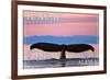 Juneau, Alaska - Humpback Fluke and Sunset-Lantern Press-Framed Art Print