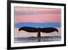 Juneau, Alaska - Humpback Fluke and Sunset-Lantern Press-Framed Art Print