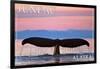 Juneau, Alaska - Humpback Fluke and Sunset-Lantern Press-Framed Art Print