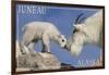 Juneau, Alaska - Mountain Goat and Kid-Lantern Press-Framed Art Print