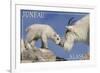 Juneau, Alaska - Mountain Goat and Kid-Lantern Press-Framed Art Print