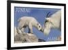 Juneau, Alaska - Mountain Goat and Kid-Lantern Press-Framed Art Print