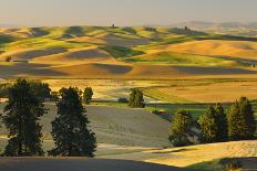 Farmland at Harvest Time-JuneJ-Photographic Print