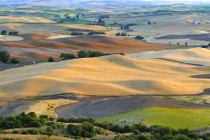 Farmland at Harvest Time-JuneJ-Photographic Print