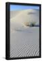 Essential Black