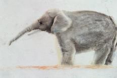Elephant-Jung Sook Nam-Giclee Print
