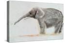 Stretched Canvas