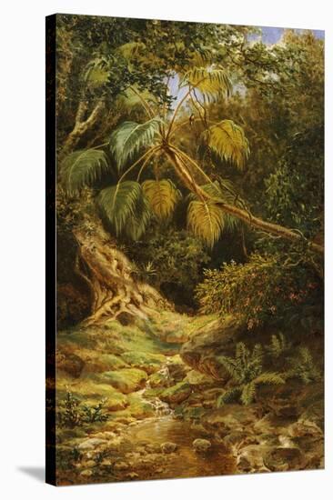 Jungala Cubana, 1880-Esteban Chartrand-Stretched Canvas