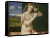 Junge Frau Bei Der Toilette, 1515-Giovanni Bellini-Framed Stretched Canvas