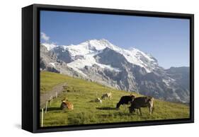 Jungfrau, Kleine Scheidegg, Bernese Oberland, Berne Canton, Switzerland, Europe-Angelo Cavalli-Framed Stretched Canvas