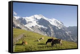 Jungfrau, Kleine Scheidegg, Bernese Oberland, Berne Canton, Switzerland, Europe-Angelo Cavalli-Framed Stretched Canvas