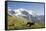 Jungfrau, Kleine Scheidegg, Bernese Oberland, Berne Canton, Switzerland, Europe-Angelo Cavalli-Framed Stretched Canvas