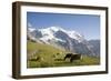 Jungfrau, Kleine Scheidegg, Bernese Oberland, Berne Canton, Switzerland, Europe-Angelo Cavalli-Framed Photographic Print