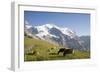 Jungfrau, Kleine Scheidegg, Bernese Oberland, Berne Canton, Switzerland, Europe-Angelo Cavalli-Framed Photographic Print