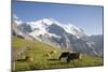 Jungfrau, Kleine Scheidegg, Bernese Oberland, Berne Canton, Switzerland, Europe-Angelo Cavalli-Mounted Photographic Print