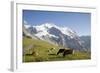 Jungfrau, Kleine Scheidegg, Bernese Oberland, Berne Canton, Switzerland, Europe-Angelo Cavalli-Framed Photographic Print