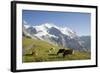 Jungfrau, Kleine Scheidegg, Bernese Oberland, Berne Canton, Switzerland, Europe-Angelo Cavalli-Framed Photographic Print