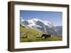 Jungfrau, Kleine Scheidegg, Bernese Oberland, Berne Canton, Switzerland, Europe-Angelo Cavalli-Framed Photographic Print