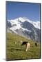 Jungfrau, Kleine Scheidegg, Bernese Oberland, Berne Canton, Switzerland, Europe-Angelo Cavalli-Mounted Photographic Print