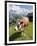 Jungfrau Massif and Cow Near Murren, Jungfrau Region, Switzerland, Europe-Michael DeFreitas-Framed Photographic Print