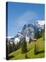 Jungfrau Massif and Swiss Chalet Near Murren, Jungfrau Region, Switzerland-Michael DeFreitas-Stretched Canvas