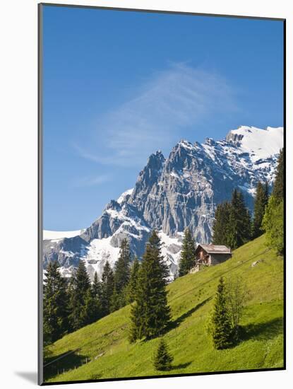 Jungfrau Massif and Swiss Chalet Near Murren, Jungfrau Region, Switzerland-Michael DeFreitas-Mounted Photographic Print