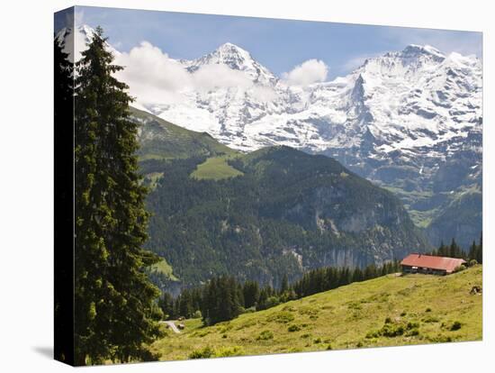 Jungfrau Massif From Murren, Jungfrau Region, Switzerland, Europe-Michael DeFreitas-Stretched Canvas