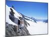 Jungfraujoch, 3454 M, and Aletsch Glacier, Bernese Oberland, Swiss Alps, Switzerland-Hans Peter Merten-Mounted Premium Photographic Print