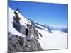 Jungfraujoch, 3454 M, and Aletsch Glacier, Bernese Oberland, Swiss Alps, Switzerland-Hans Peter Merten-Mounted Photographic Print