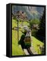 Jungfraujochbahn, Wengen, Lauterbrunnental, Switzerland-David Barnes-Framed Stretched Canvas