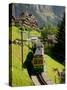 Jungfraujochbahn, Wengen, Lauterbrunnental, Switzerland-David Barnes-Stretched Canvas