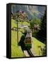 Jungfraujochbahn, Wengen, Lauterbrunnental, Switzerland-David Barnes-Framed Stretched Canvas