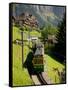 Jungfraujochbahn, Wengen, Lauterbrunnental, Switzerland-David Barnes-Framed Stretched Canvas