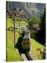 Jungfraujochbahn, Wengen, Lauterbrunnental, Switzerland-David Barnes-Stretched Canvas