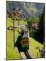 Jungfraujochbahn, Wengen, Lauterbrunnental, Switzerland-David Barnes-Mounted Photographic Print