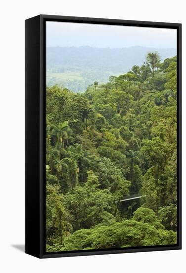 Jungle at Arenal Hanging Bridges Where Rainforest Canopy Is Accessible Via Walkways-Rob Francis-Framed Stretched Canvas