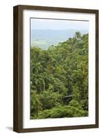 Jungle at Arenal Hanging Bridges Where Rainforest Canopy Is Accessible Via Walkways-Rob Francis-Framed Photographic Print