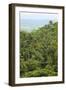 Jungle at Arenal Hanging Bridges Where Rainforest Canopy Is Accessible Via Walkways-Rob Francis-Framed Photographic Print