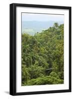 Jungle at Arenal Hanging Bridges Where Rainforest Canopy Is Accessible Via Walkways-Rob Francis-Framed Photographic Print