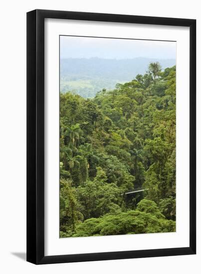 Jungle at Arenal Hanging Bridges Where Rainforest Canopy Is Accessible Via Walkways-Rob Francis-Framed Photographic Print