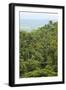 Jungle at Arenal Hanging Bridges Where Rainforest Canopy Is Accessible Via Walkways-Rob Francis-Framed Photographic Print