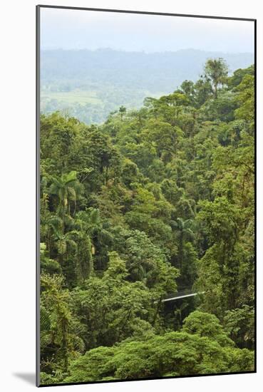 Jungle at Arenal Hanging Bridges Where Rainforest Canopy Is Accessible Via Walkways-Rob Francis-Mounted Photographic Print