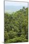 Jungle at Arenal Hanging Bridges Where Rainforest Canopy Is Accessible Via Walkways-Rob Francis-Mounted Photographic Print