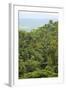 Jungle at Arenal Hanging Bridges Where Rainforest Canopy Is Accessible Via Walkways-Rob Francis-Framed Photographic Print