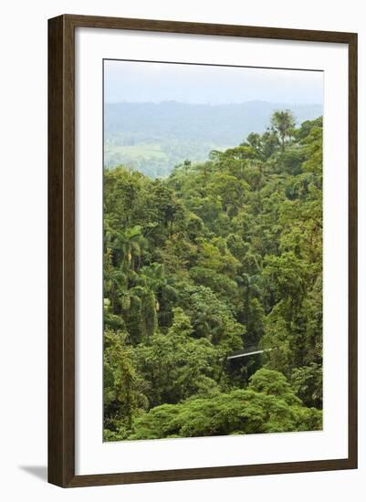 Jungle at Arenal Hanging Bridges Where Rainforest Canopy Is Accessible Via Walkways-Rob Francis-Framed Photographic Print